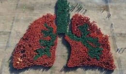 Philippines lập kỷ lục thế giới về hình lá phổi người lớn nhất