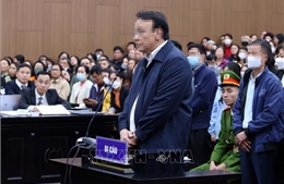 Xét xử vụ án Tân Hoàng Minh: Chủ tịch Hội đồng quản trị Công ty nhận trách nhiệm cao nhất trong vụ án