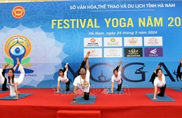 Trên 500 người đồng diễn tại Festival &#39;Yoga cho sự hài hòa và bình yên&#39;