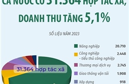 Cả nước có 31.364 hợp tác xã, doanh thu tăng 5,1%