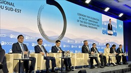 Bộ trưởng Ngoại giao Bùi Thanh Sơn tham dự Hội nghị Hội đồng Bộ trưởng OECD 2024
