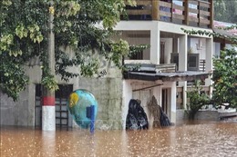 Số nạn nhân thiệt mạng, mất tích do mưa lớn và lở đất ở Brazil tăng mạnh 