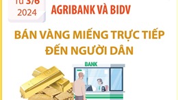 Vietinbank, Vietcombank, Agribank và BIDV sẽ bán vàng trực tiếp đến người dân