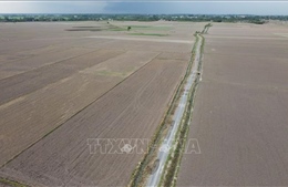 Không gieo sạ khoảng 180 ha lúa để phản đối giá tưới tiêu nước quá cao