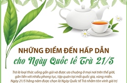 Những điểm đến hấp dẫn cho Ngày Quốc tế Trà 21/5