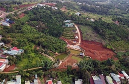 Thanh tra đột xuất việc quản lý hơn 1.900 ha đất tại thành phố Gia Nghĩa