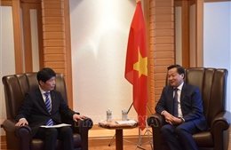 Tăng cường hợp tác giữa các địa phương hai nước Việt Nam - Nhật Bản