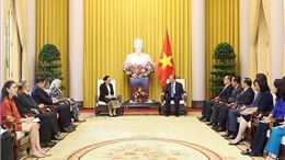 Chủ tịch nước Tô Lâm tiếp Đại sứ các nước ASEAN và Timor - Leste đến chào và chúc mừng