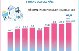 5 tháng năm 2024, cả nước có 64,8 nghìn doanh nghiệp đăng ký thành lập mới