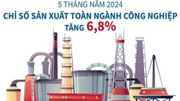  5 tháng năm 2024: Chỉ số sản xuất công nghiệp tăng 6,8%