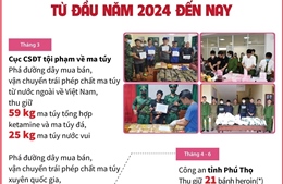 Từ đầu năm 2024 đến nay đã triệt phá gần 14.500 vụ án ma túy