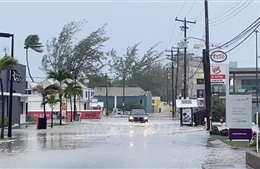 Sáu người thiệt mạng do bão Beryl, Caribe tiếp tục báo động