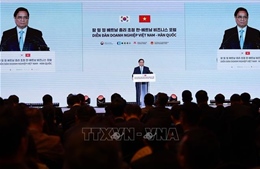 Thủ tướng dự và phát biểu tại Diễn đàn doanh nghiệp Việt Nam – Hàn Quốc 