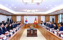 Thủ tướng Phạm Minh Chính hội đàm với Thủ tướng Hàn Quốc Han Duck Soo 
