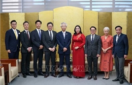 Đà Nẵng tăng cường hợp tác với các thành phố của Nhật Bản, Hàn Quốc