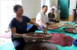 Hỗ trợ phụ nữ khởi nghiệp, làm giàu