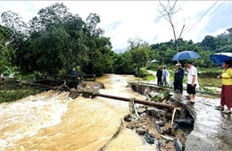 Tối và đêm 6/7, Hà Giang, Tuyên Quang mưa to đến rất to, có nơi trên 70mm