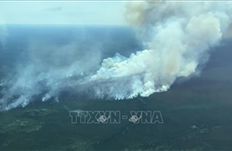 Cháy rừng ở Canada, 9.000 người phải sơ tán 