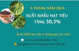 Sáu tháng, xuất khẩu hạt tiêu tăng 30,3%