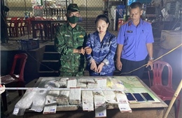 Triệt phá vụ án vận chuyển ma túy lớn từ Lào về Việt Nam
