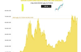 Giá Bitcoin giao dịch ở mức 66.300 USD/BTC