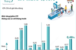 CPI tháng 7 tăng 0,48%