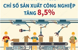 7 tháng năm 2024, chỉ số sản xuất công nghiệp tăng 8,5%