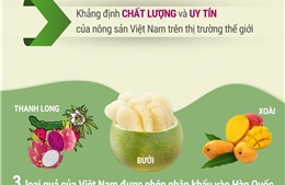 Hàn Quốc chính thức cấp phép nhập khẩu quả bưởi của Việt Nam