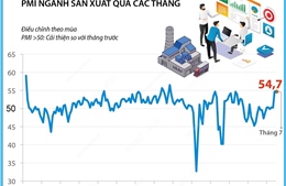 Tháng 7/2024, ngành sản xuất Việt Nam tiếp tục tăng trưởng mạnh