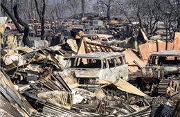 Cháy rừng lan nhanh, thiêu rụi nhiều nhà dân ở bang California