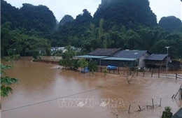 Thủ tướng Chính phủ chỉ đạo tập trung ứng phó nguy cơ mưa lũ, sạt lở đất tại Bắc Bộ