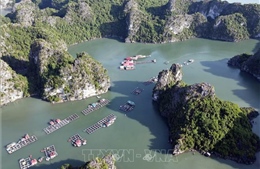 Làng chài Vung Viêng cuốn hút du khách quốc tế