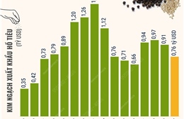 Dự báo hồ tiêu Việt Nam sớm trở lại nhóm hàng xuất khẩu tỷ USD