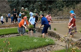 Tạo nguồn cán bộ trẻ năng lực, uy tín ở vùng cao Trạm Tấu