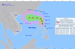 Các tỉnh, thành phố từ Quảng Ninh - Phú Yên chủ động ứng phó với bão gần Biển Đông