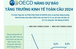 OECD nâng dự báo tăng trưởng kinh tế toàn cầu năm 2024