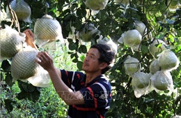 Chăm lo đời sống, giữ vững an ninh trật tự vùng đồng bào dân tộc thiểu số ở Lâm Đồng