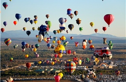 Sắc màu lễ hội khinh khí cầu Albuquerque 