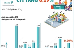 CPI tháng 9/2024 tăng 0,29%