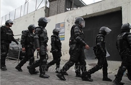 Ecuador chìm trong bất ổn do các băng nhóm tội phạm hoành hành