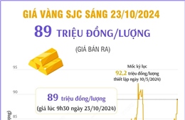 Vàng SJC sáng 23/10/2024 có giá 89 triệu đồng/lượng