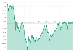 Phiên 23/10/2024: VN-Index tăng hơn 1 điểm