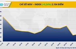 Lực mua chiếm ưu thế kéo chỉ số MXV-Index phục hồi