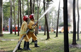 Huy động nhiều lực lượng, phương tiện tham gia diễn tập chữa cháy và cứu nạn