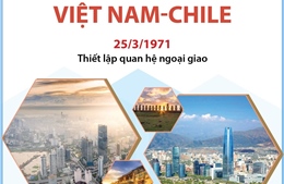 Quan hệ Đối tác toàn diện Việt Nam - Chile