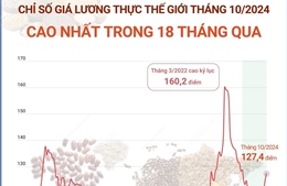 Chỉ số giá lương thực thế giới tháng 10 cao nhất trong 18 tháng qua