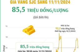 Vàng SJC sáng 11/11/2024 có giá 85,5 triệu đồng/lượng