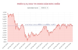 Phiên 11/11/2024: VN-Index giảm hơn 2 điểm