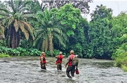 Costa Rica và Panama ban bố tình trạng khẩn cấp quốc gia do mưa lũ 