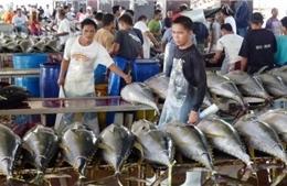 Tương lai Xanh cho nghề cá - Bài 1: Quyết liệt hành trình &#39;đổi màu&#39;